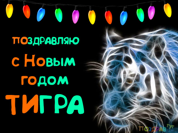 Картинка на Новый год Тигра