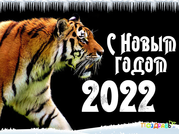 Новый год Тигра 2022