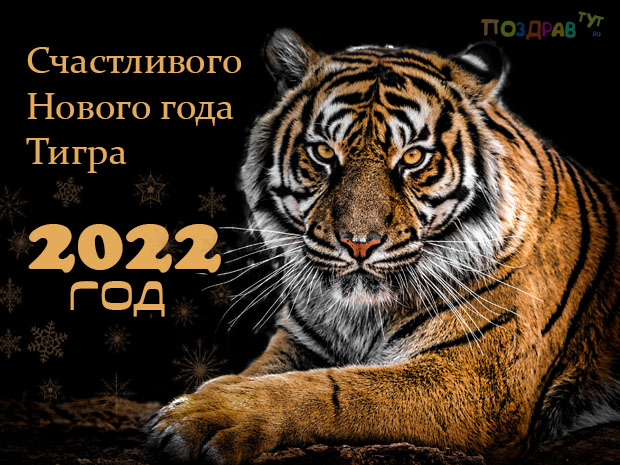Счастливого Нового года Тигра