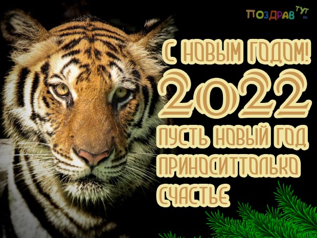 поздравительная картинка с новым годом тигра 2022